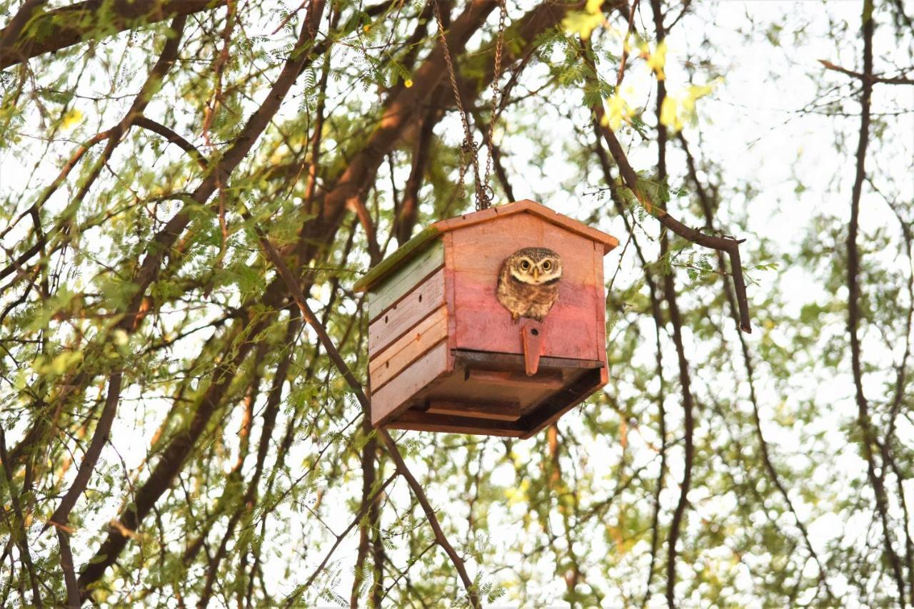Ranthambhore Bagh Dwar Camp Khilchīpur Exteriör bild